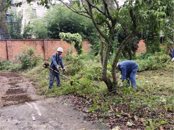 美化環(huán)境凝人心 雨中堅(jiān)守顯真情——隆山科峰公司黨支部開展主題黨日活動(dòng)3.jpg
